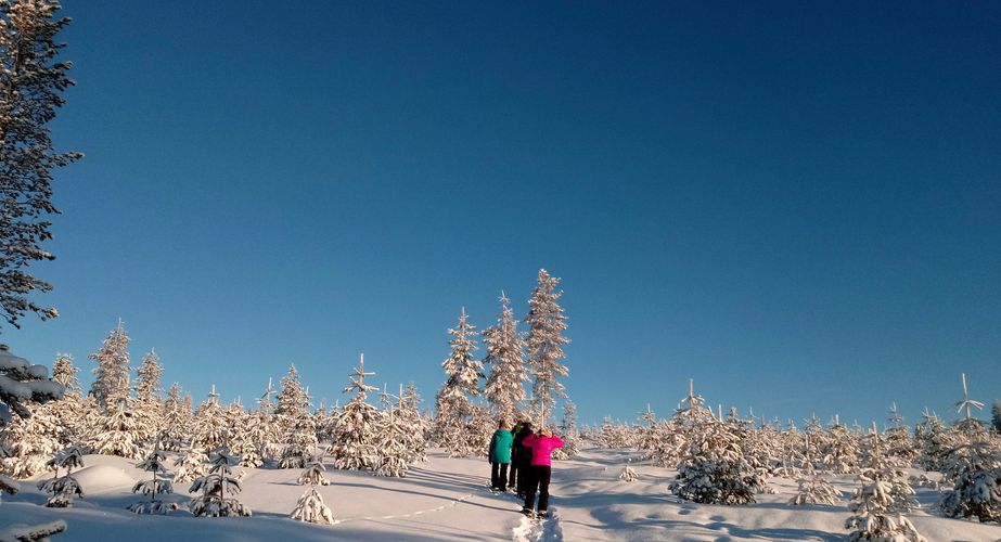 Natuur sneeuwschoenwandeling